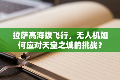 拉萨高海拔飞行，无人机如何应对天空之城的挑战？
