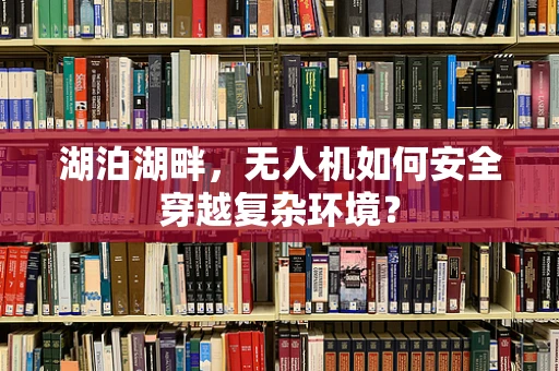 湖泊湖畔，无人机如何安全穿越复杂环境？