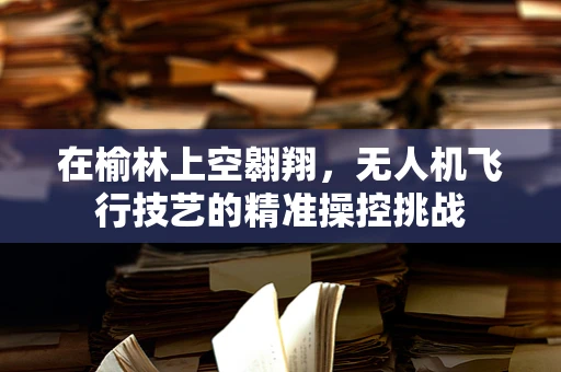 在榆林上空翱翔，无人机飞行技艺的精准操控挑战