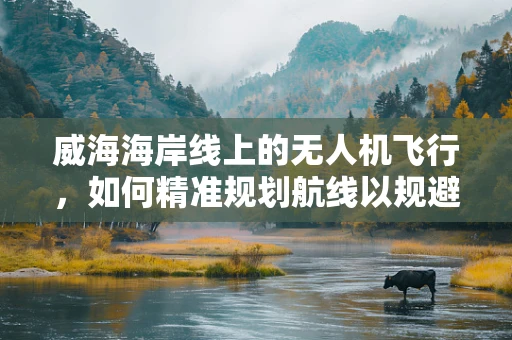 威海海岸线上的无人机飞行，如何精准规划航线以规避风浪影响？