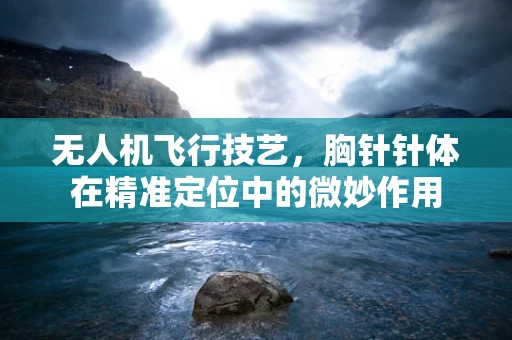 无人机飞行技艺，胸针针体在精准定位中的微妙作用