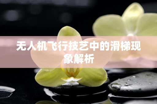 无人机飞行技艺中的滑梯现象解析