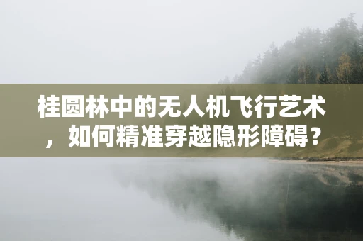桂圆林中的无人机飞行艺术，如何精准穿越隐形障碍？