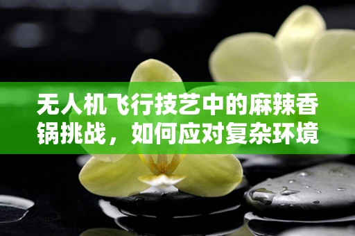 无人机飞行技艺中的麻辣香锅挑战，如何应对复杂环境下的精准操控？