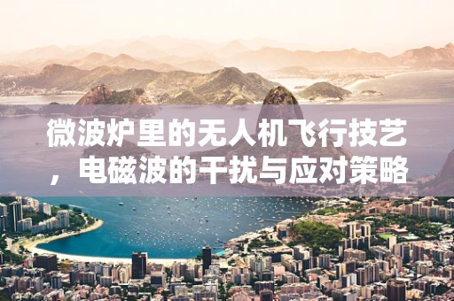 微波炉里的无人机飞行技艺，电磁波的干扰与应对策略
