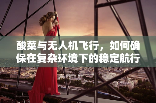 酸菜与无人机飞行，如何确保在复杂环境下的稳定航行？