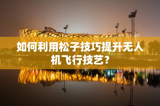 如何利用松子技巧提升无人机飞行技艺？