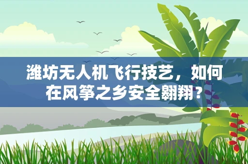 潍坊无人机飞行技艺，如何在风筝之乡安全翱翔？