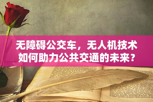 无障碍公交车，无人机技术如何助力公共交通的未来？