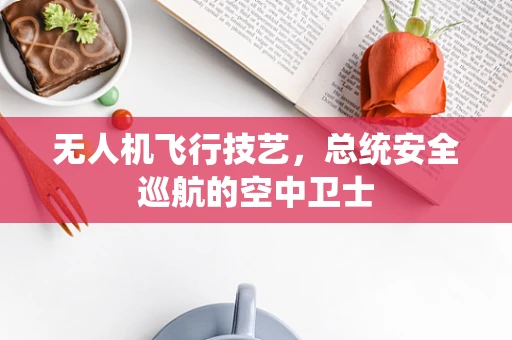 无人机飞行技艺，总统安全巡航的空中卫士