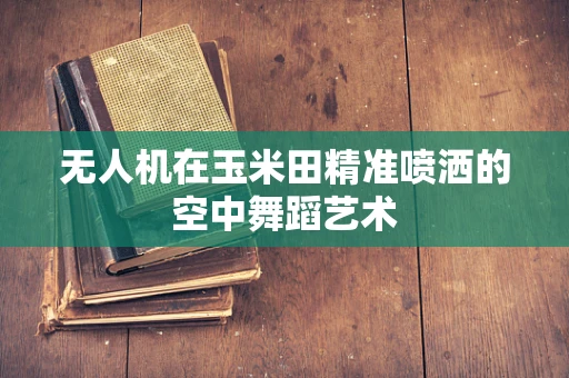 无人机在玉米田精准喷洒的空中舞蹈艺术