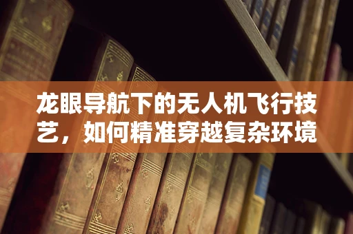 龙眼导航下的无人机飞行技艺，如何精准穿越复杂环境？