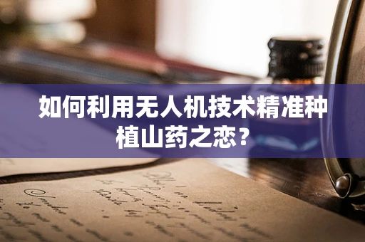 如何利用无人机技术精准种植山药之恋？