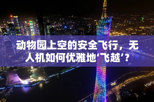 动物园上空的安全飞行，无人机如何优雅地‘飞越’？
