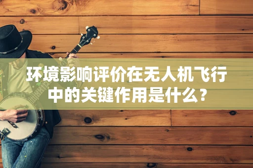 环境影响评价在无人机飞行中的关键作用是什么？