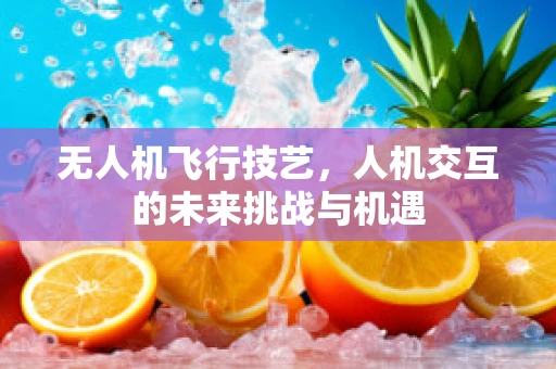 无人机飞行技艺，人机交互的未来挑战与机遇