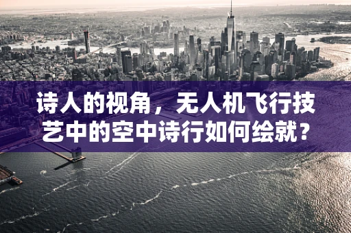 诗人的视角，无人机飞行技艺中的空中诗行如何绘就？