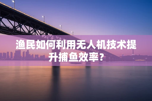 渔民如何利用无人机技术提升捕鱼效率？