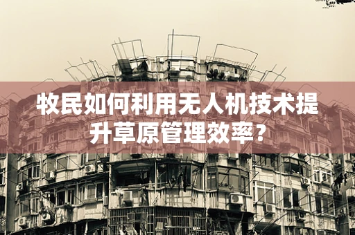 牧民如何利用无人机技术提升草原管理效率？