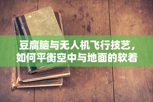 豆腐脑与无人机飞行技艺，如何平衡空中与地面的软着陆？