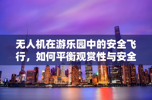 无人机在游乐园中的安全飞行，如何平衡观赏性与安全性？