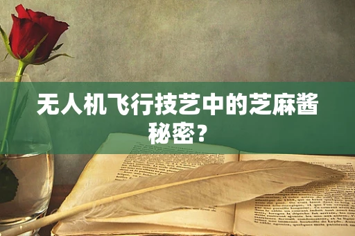 无人机飞行技艺中的芝麻酱秘密？