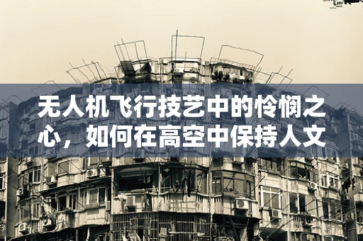无人机飞行技艺中的怜悯之心，如何在高空中保持人文关怀？
