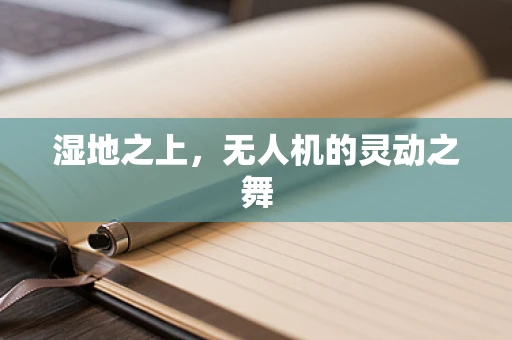 湿地之上，无人机的灵动之舞