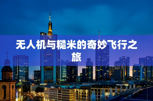 无人机与糙米的奇妙飞行之旅