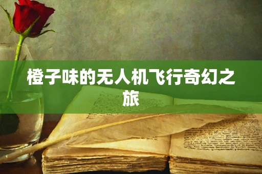 橙子味的无人机飞行奇幻之旅