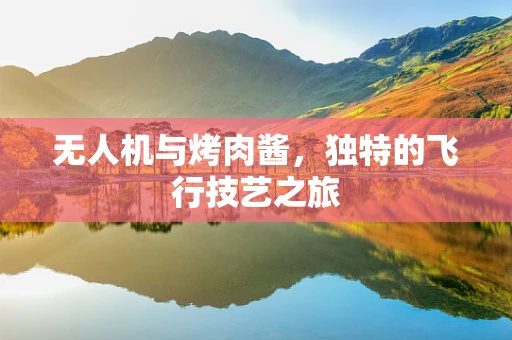 无人机与烤肉酱，独特的飞行技艺之旅
