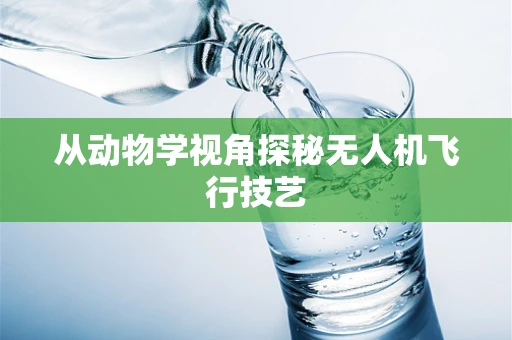 从动物学视角探秘无人机飞行技艺