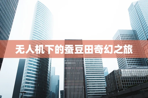 无人机下的蚕豆田奇幻之旅