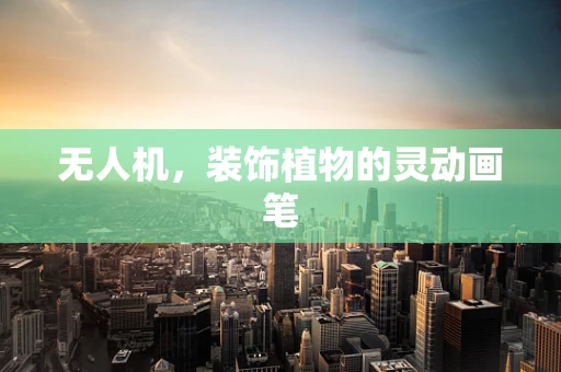 无人机，装饰植物的灵动画笔