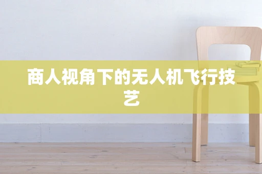 商人视角下的无人机飞行技艺