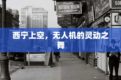 西宁上空，无人机的灵动之舞