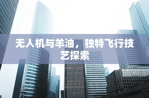 无人机与羊油，独特飞行技艺探索