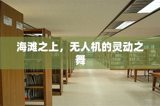 海滩之上，无人机的灵动之舞