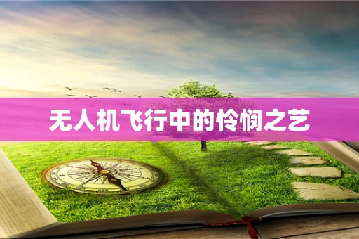 无人机飞行中的怜悯之艺