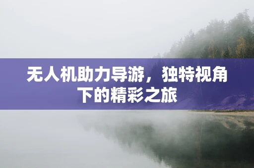 无人机助力导游，独特视角下的精彩之旅
