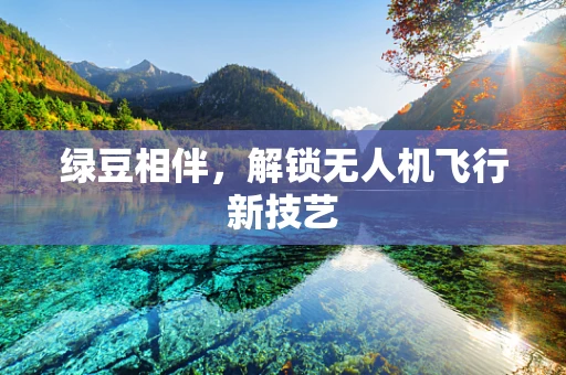 绿豆相伴，解锁无人机飞行新技艺