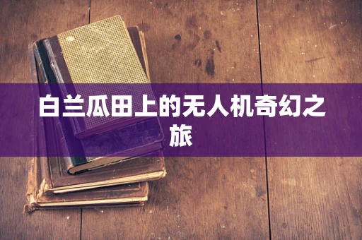 白兰瓜田上的无人机奇幻之旅