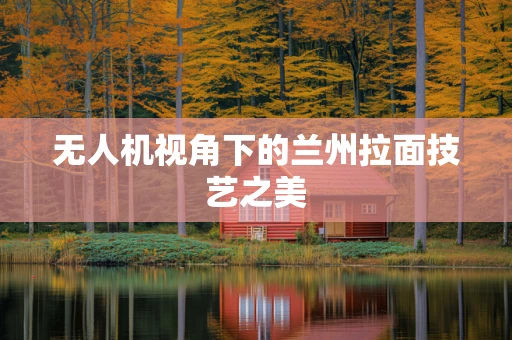 无人机视角下的兰州拉面技艺之美
