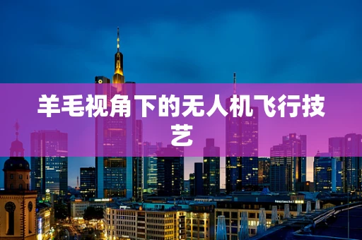 羊毛视角下的无人机飞行技艺