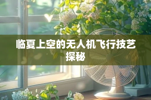 临夏上空的无人机飞行技艺探秘