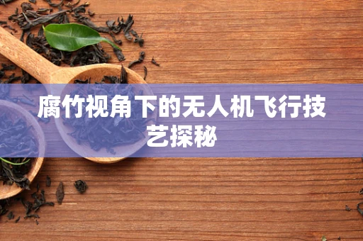 腐竹视角下的无人机飞行技艺探秘