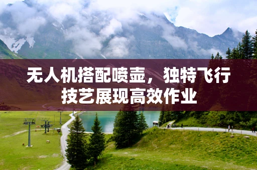 无人机搭配喷壶，独特飞行技艺展现高效作业