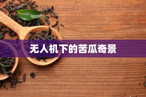 无人机下的苦瓜奇景