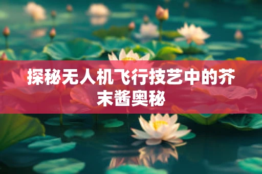 探秘无人机飞行技艺中的芥末酱奥秘