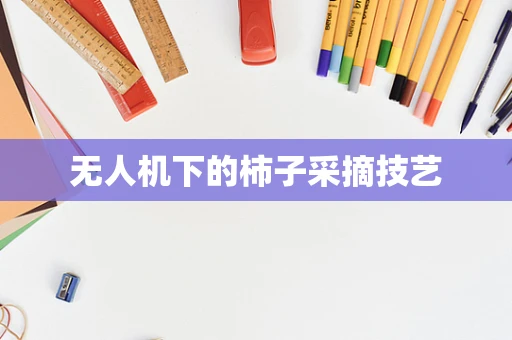 无人机下的柿子采摘技艺